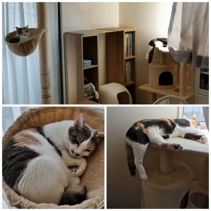 C61131e6 92c5 49ad bf27 5b2a3ac06a9f 1627791701172