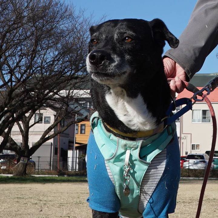 C611f506 baf8 4894 8826 9b5dd0fad9da 1772929897852