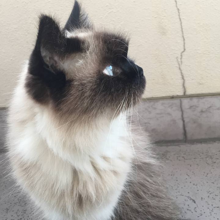 C6120392 000a 4fe5 95c8 2b5eb7f1ef58 1553125725714