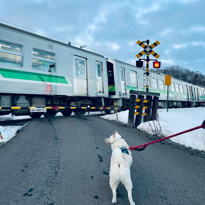 C6120cdb 2d09 4a4e aef8 6d5fd0c7c9c0 1737843629508