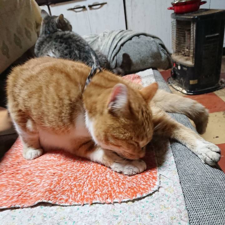 C61253e5 ea3d 4cf0 a08f b781c1c9d713 1574595061333