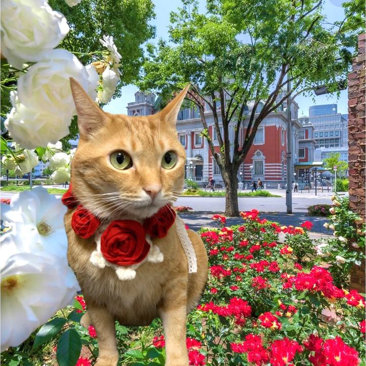 C6127a71 4682 4f1c a8db a3faa87c0352 1653566695767