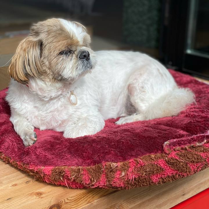 C6129f40 c3e3 43f1 b31b 24582d037f87 1665797078790