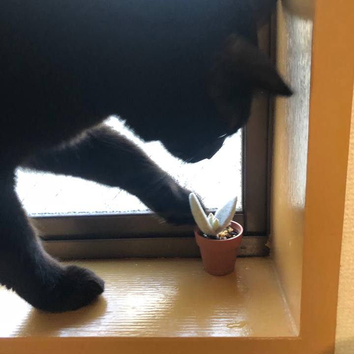 C612a490 d7b7 45fa 840c 7a74faeee08f 1574295761962