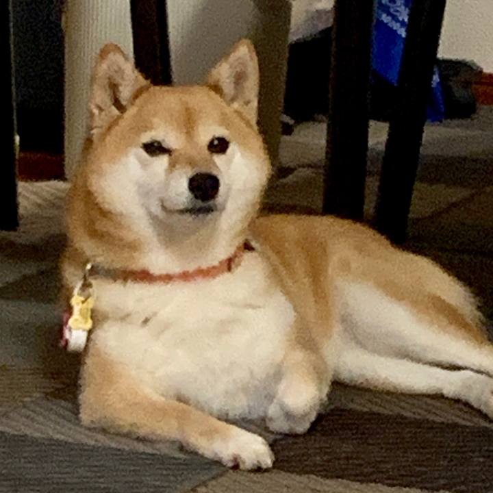 C612f519 9bce 4542 8de7 e5d06fc2c7b7 1562942512360