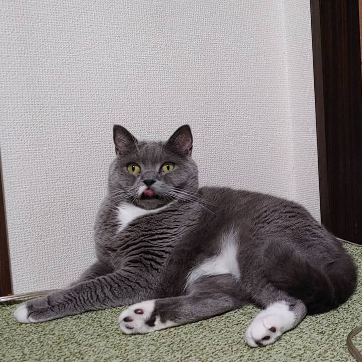 C61309a9 b02a 4876 af01 0d9be11104a4 1633348955842