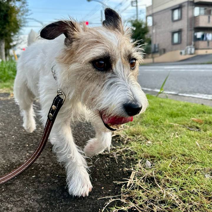 C613463f 78ce 448f b267 b4cb4deb034f 1728311721143