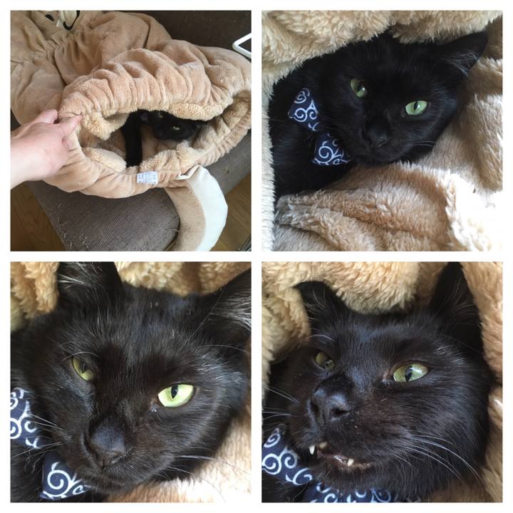 C6136ceb 8528 43a6 9875 88a40c157d5f 1556846382198