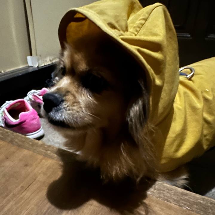 C6137014 292a 485a b668 3717e8b61e61 1699305354075