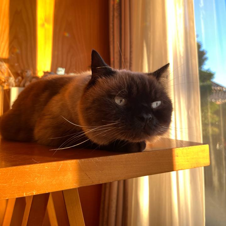 C6137da3 6097 4964 b929 173b07a05de1 1698565030846