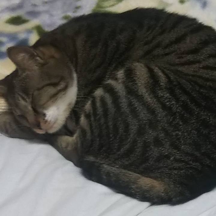 C613834a 993d 44c2 ac34 f62aaae87f11 1632321007067