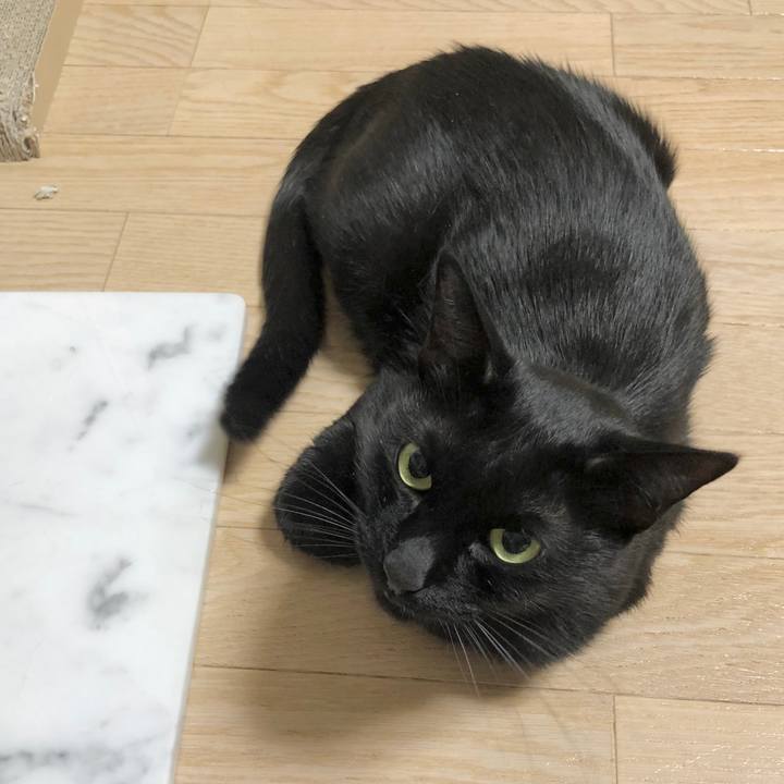 C613e1c1 9ad1 480a a406 139d6e326048 1599656999303