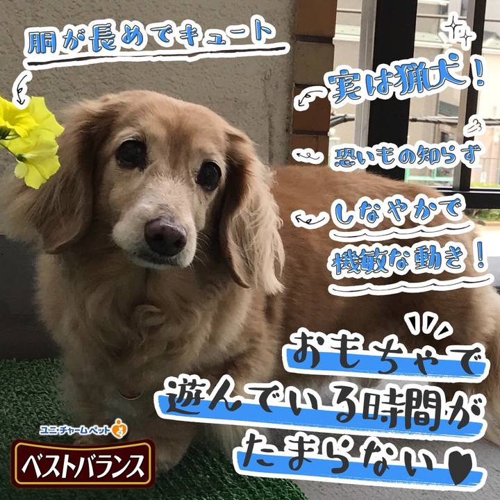 C613e3a6 3772 4f77 9952 4f9d83711e8c 1541658456492