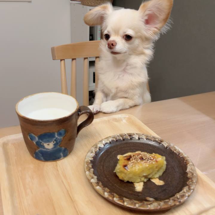 C613e795 e2e1 48f2 aa3c f1a7da1821a9 1728026370110