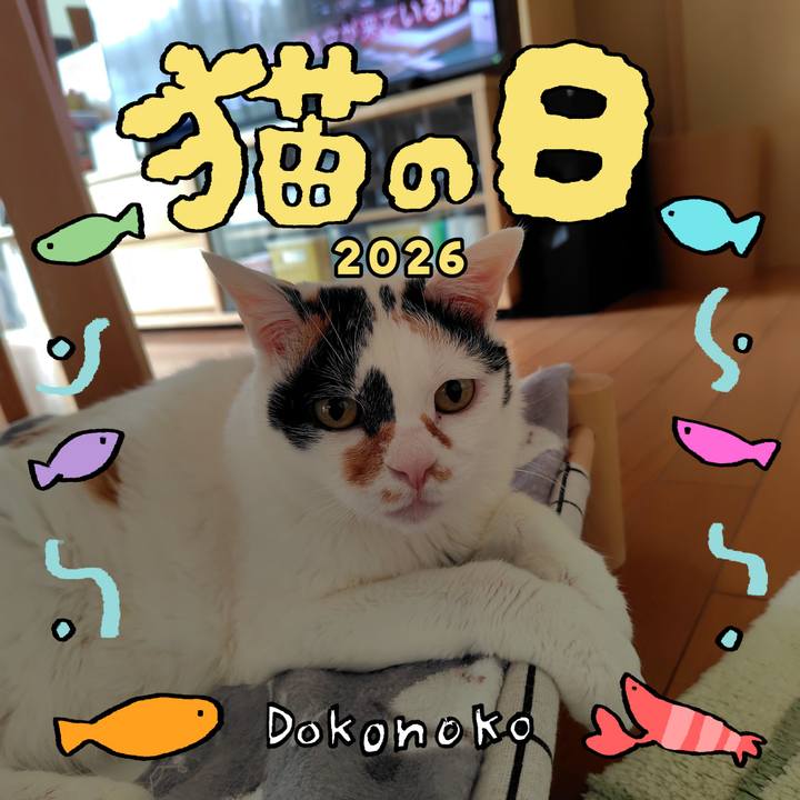 C613f067 9f2a 4ab6 9a73 5c48b9405a71 1771716900134