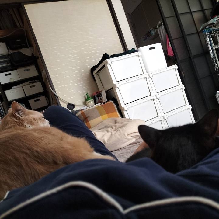 C61435cf c9b6 49b3 83ff 316633ea5ef4 1648940624863