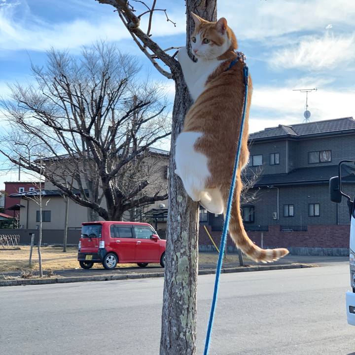 C6146b1e 3b6e 4079 b340 7bdd2e27475f 1581487058742