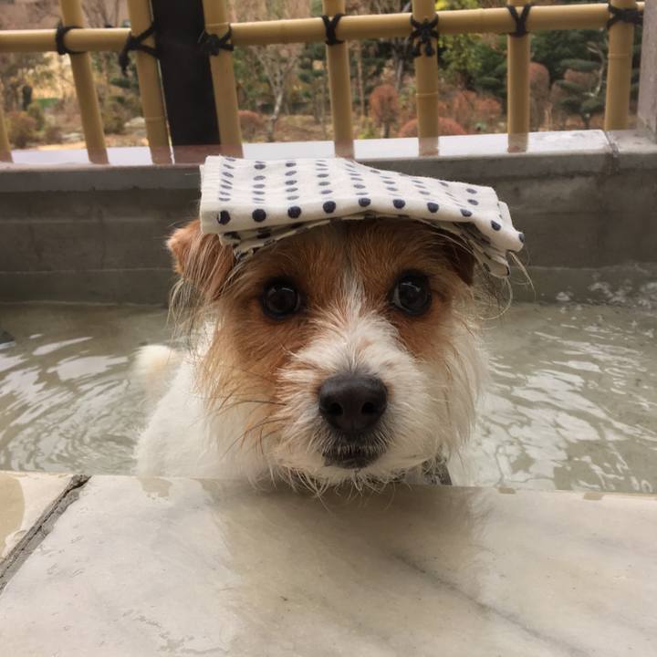 C614785c c126 419a bce9 30793e0cd61e 1515412716801