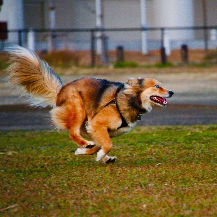 C614ecc4 4634 4bce be65 07f573874089 1595777640613