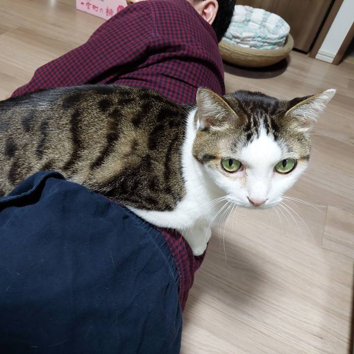 C614ed10 be71 4664 ba38 06764c6ec988 1646133660369