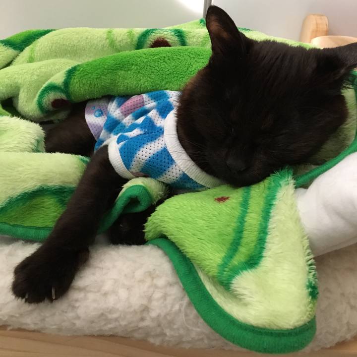 C61509f9 2c8b 4cdc aa10 c2838bb04263 1537161255423