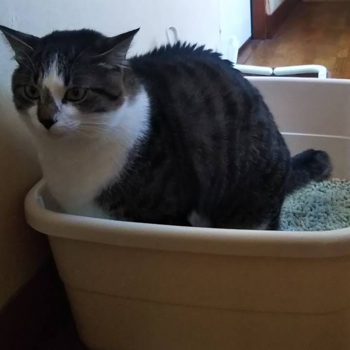 C6154927 d57e 4347 9c51 1e69b076e170 1602587035122