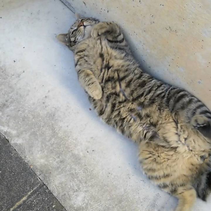 C6155201 e000 48eb a49d 4871a33c55e2 1554856665489