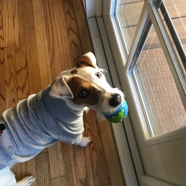 C615718a 928a 46ae 8737 da06971647a7 1516476345815