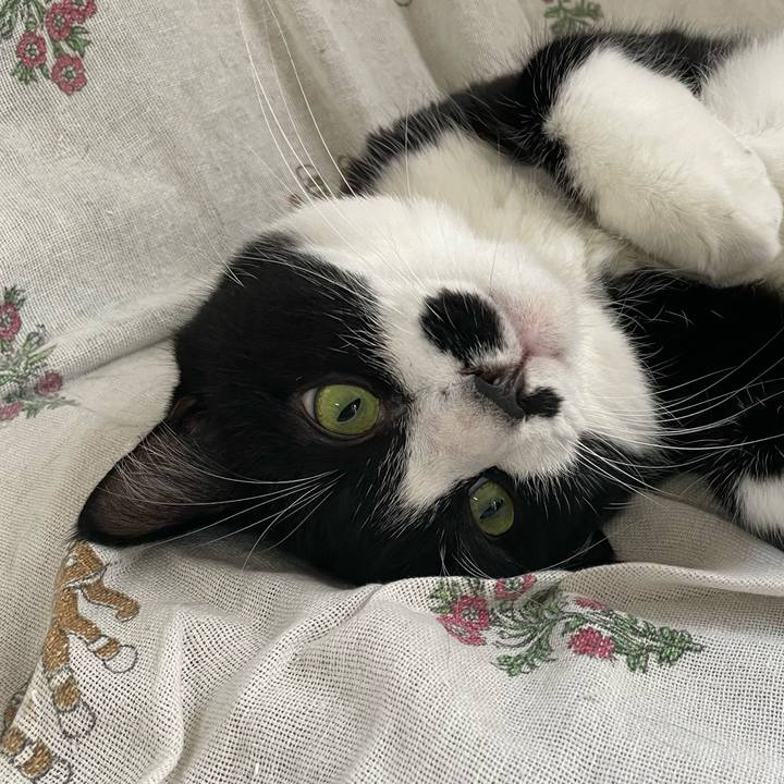 C6157fb3 a3b8 405e a1b5 3715d891340c 1758590559766