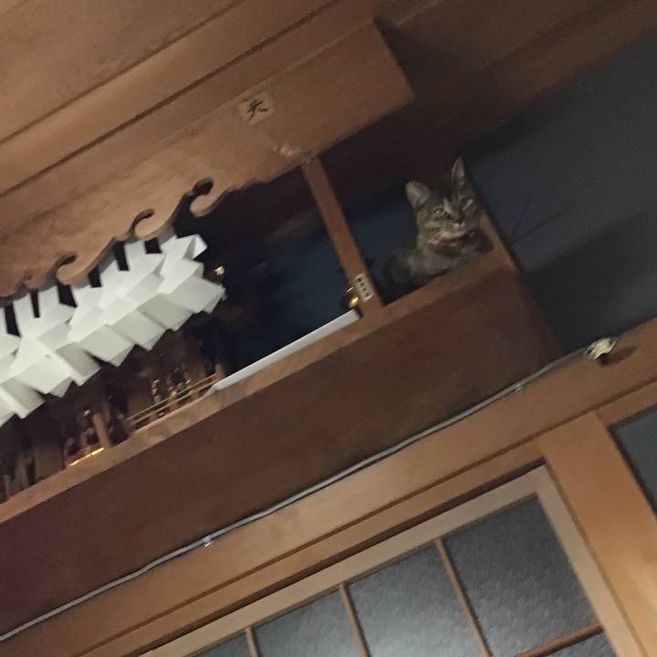 C6158717 88b8 43e4 abf1 30664eaaba9b 1606828107809