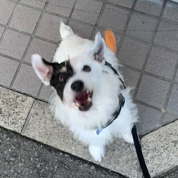 C615bc24 10ba 46a4 9e6d 2bb5bf7466e0 1728289794053