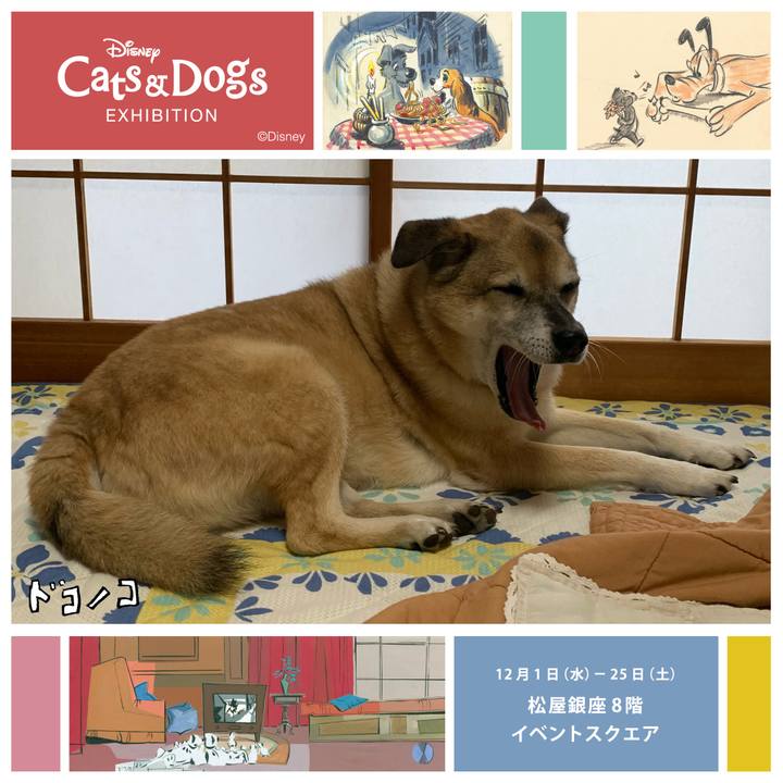 C615cab7 7b13 4331 8efc 3f054c2e7028 1638436022903