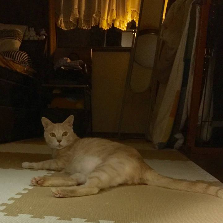 C615cc0a c69c 48e0 aeea e232079a08ba 1596280106248