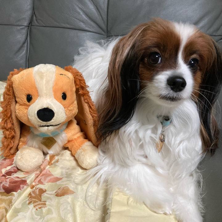 C615d8ee cff1 4ec7 b740 5e8d5021d9bd 1679808877265