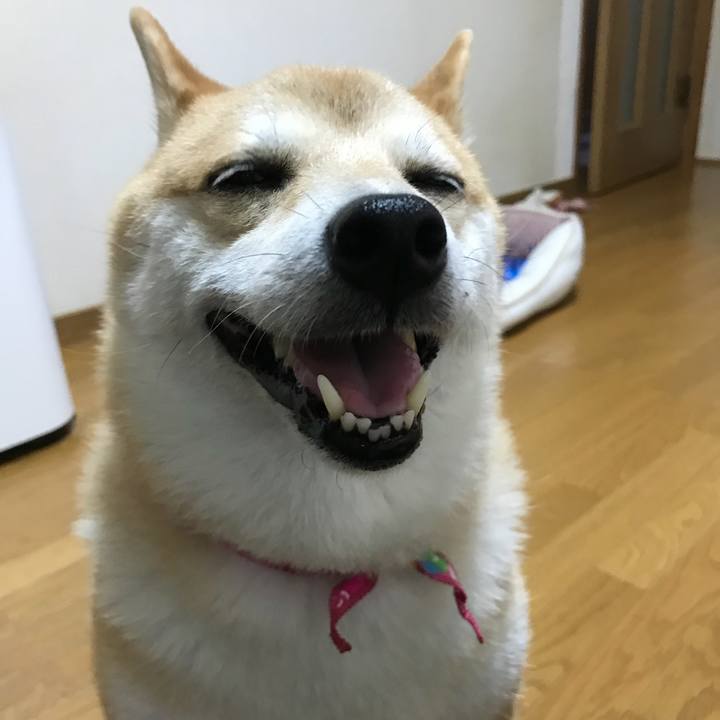 C6161a49 06fe 4f50 b24c 9b0b4477aadd 1533811679135