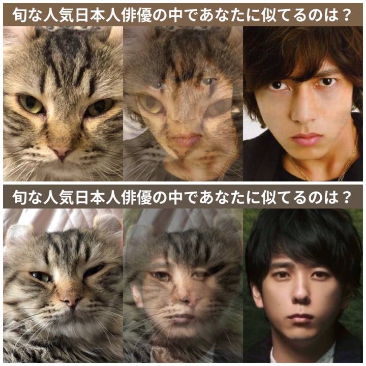 C616255e 0603 4e29 83bc 60898be5adb1 1528535003286