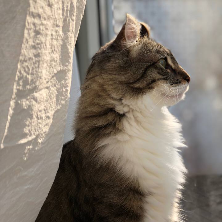 C6165ec4 e466 454b 8734 76dc887f5c06 1524263636327