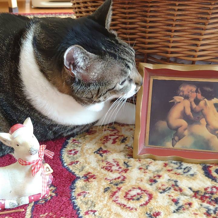 C6166015 ded7 4aa2 912e aa68ee431ec7 1608768923682