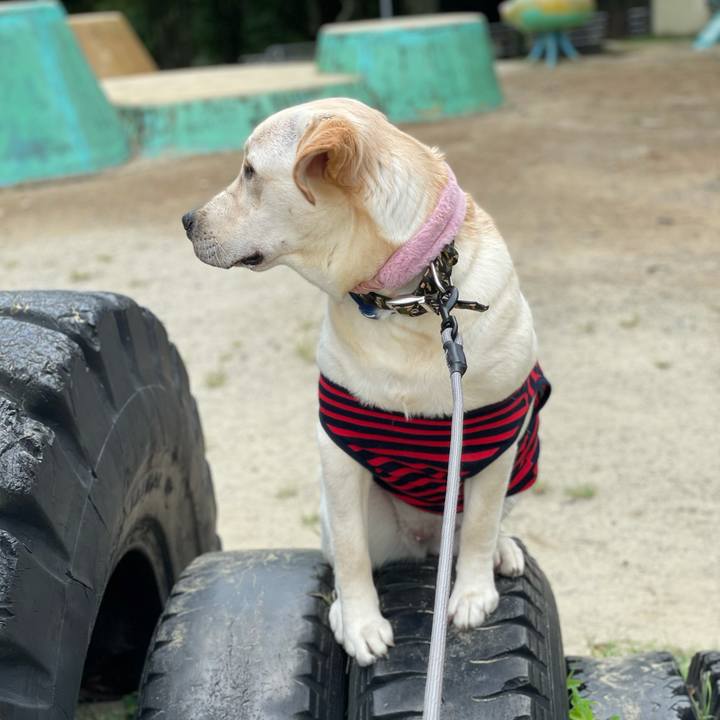 C6166284 7cbf 491c b15e e6b24c3dd5aa 1630989189739