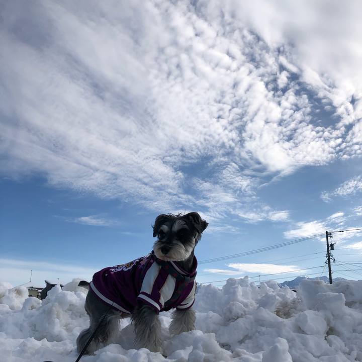 C6167480 9d8c 4823 9c61 45f394edaeb6 1641099007212