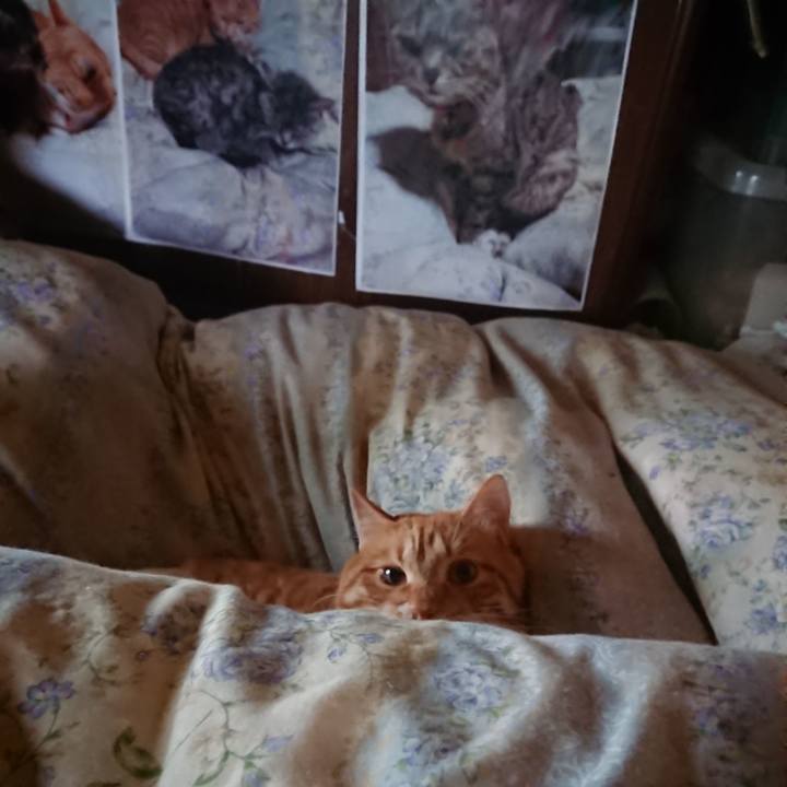 C61686bd 0324 4efd 8538 3b5bddd0d1d5 1654288980348