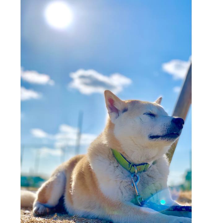 C616bafb d871 4a4b b401 caac428499af 1553172808066