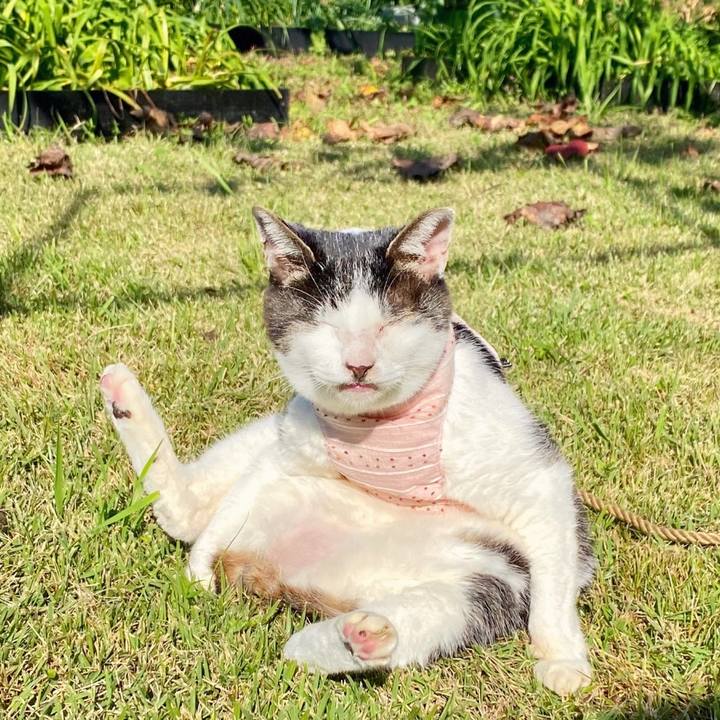 C616f64b c7e4 4583 b5ef c60069e3e46b 1604913740521