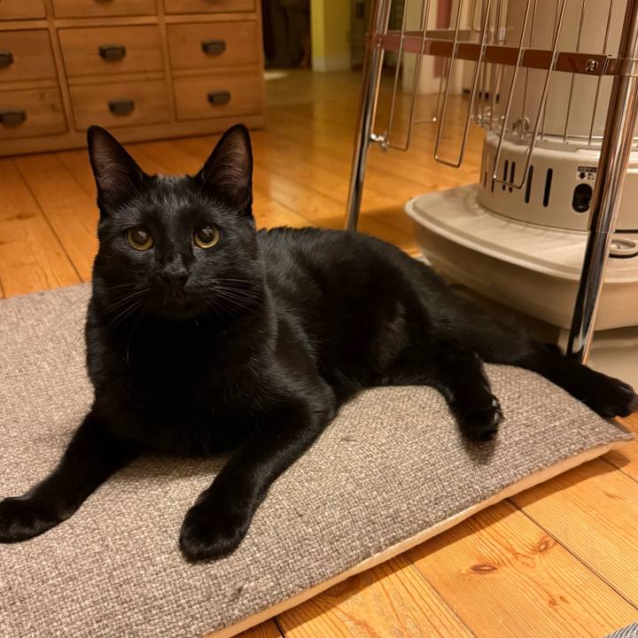 C61713a8 a1df 428b 9295 14c20619bc2b 1773054994735