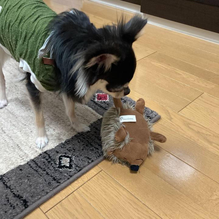 C6176aa0 97e9 4689 9878 78569b0042d8 1611499315150