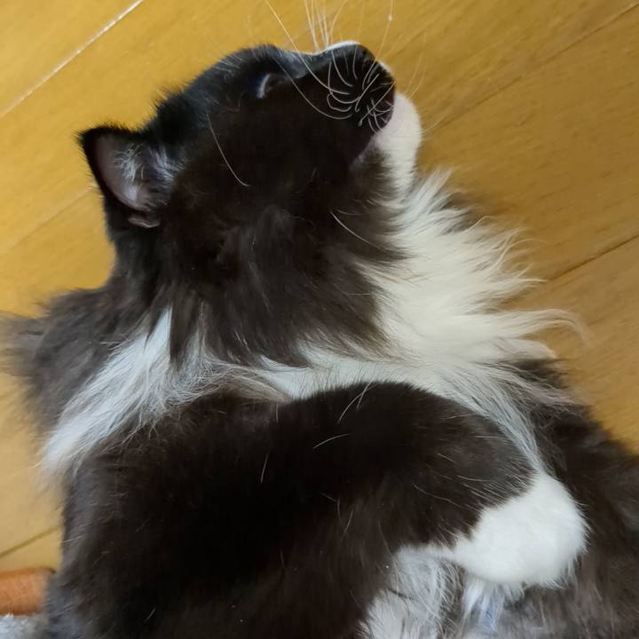 C617af33 f56b 44ee 8ee6 aa16ba990280 1673777030404