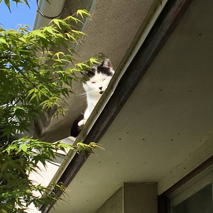 C6181fbf f490 4a0d b9d5 00a36f828299 1524313264201