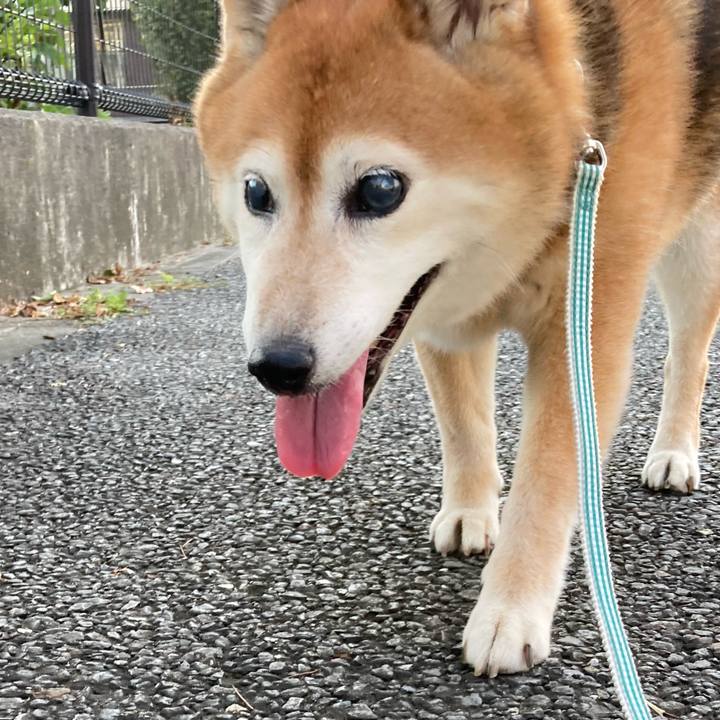 C61831ad d91c 46d9 b6b3 8a4934ff3e58 1720342724915