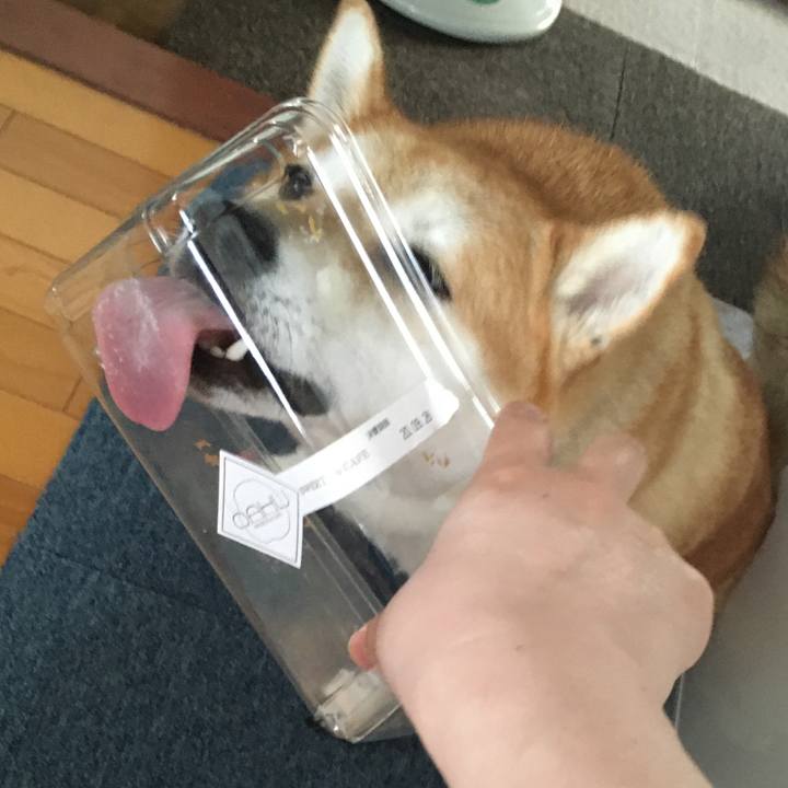 C618407a b542 407e b9fc 43cea6a9ffef 1600916612953