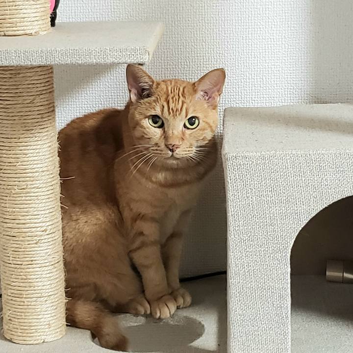 C6184f62 086b 463a ac55 aaf352107700 1721174082827